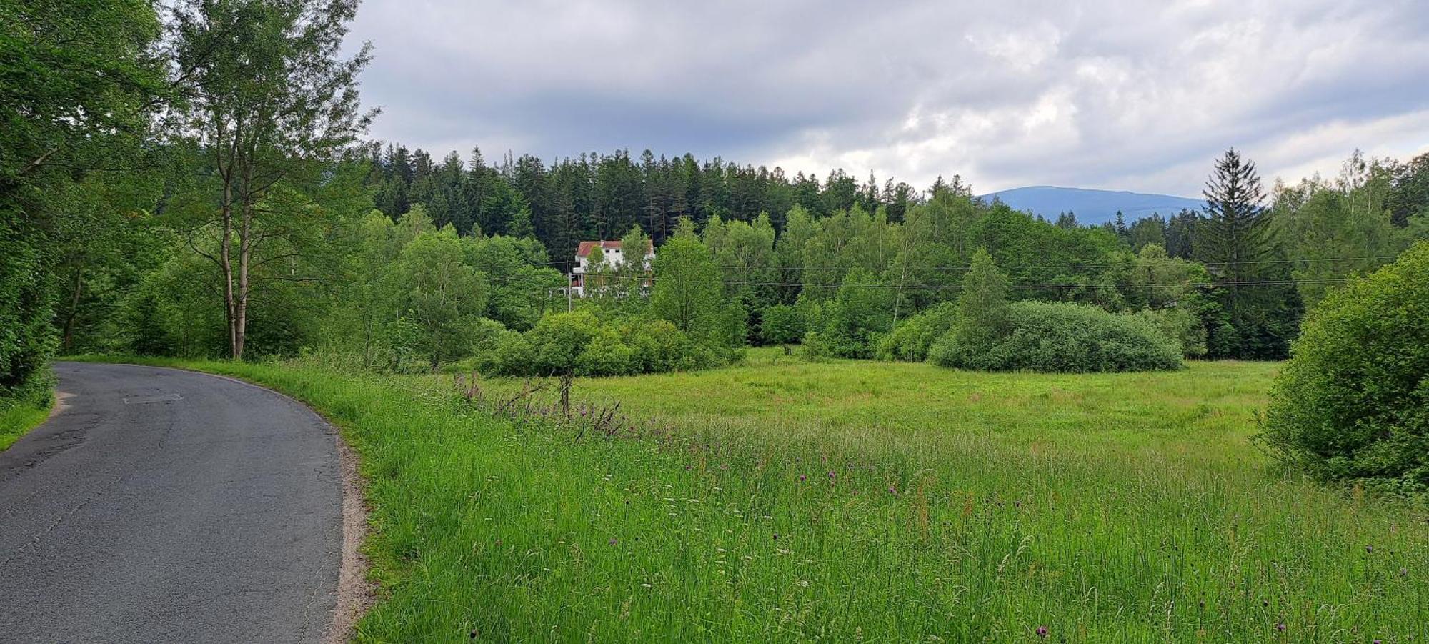 Gorskie Zacisze Bed and Breakfast Borowice Eksteriør billede